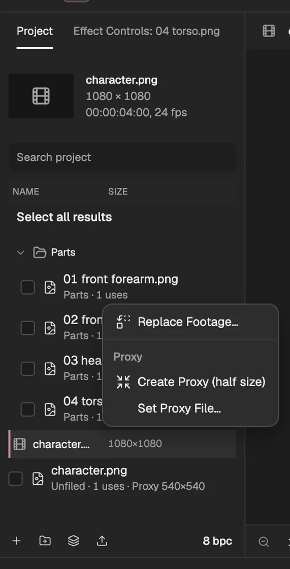 The Project panel with a folder of imported pictures, one picture’s footage actions open, and the project settings button at the foot.